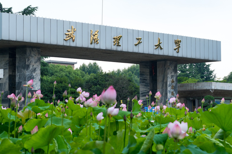 武汉理工大学自考本科招生简章