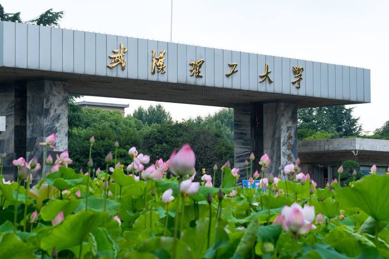 2022年武汉理工大学自考专升本招生简章