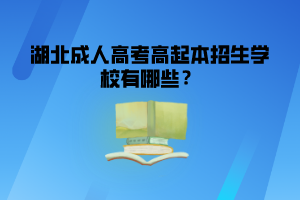 湖北可以高升本的学校有哪些