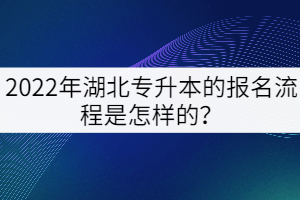 2022年湖北成教专升本怎么报名