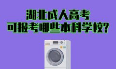 湖北成人高考可报考哪些本科学校