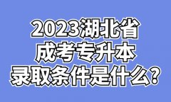 2023湖北省成考专升本录取条件是什么