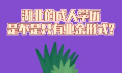 湖北的成人学历是不是只有业余形式