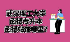武汉理工大学函授专升本函授站在哪里