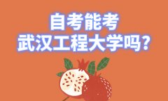 自考能考武汉工程大学吗